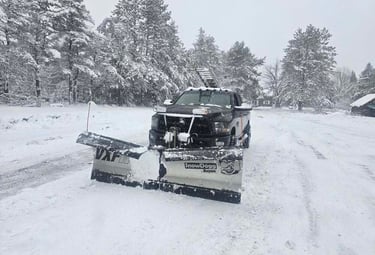 Black pickup truck with a SnowDogg VXF snow plow clearing a snow-covered road near pine trees.