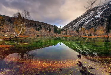 domestic tour packages pakistan