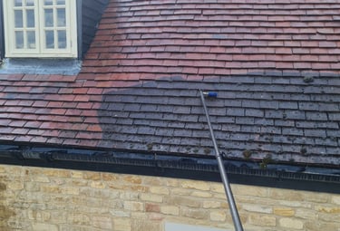 Roof cleaning