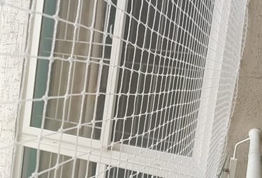 Wide shot of a modern apartment building in Anna Nagar with pigeon nets installed on all balconies.