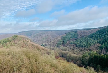 Ninglinspo, Trail, 15km