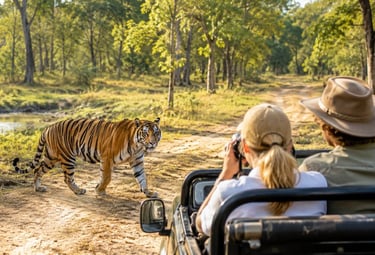 Australian couple in Kanha National Park
