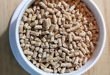 Alimento balanceado pollos y algunas aves silvestres