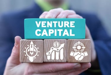 Venture Capital Investor