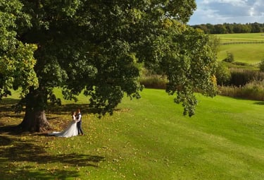 Un marié posant pour une photo de mariage sous un grand chêne sur une pelouse verte luxuriante.