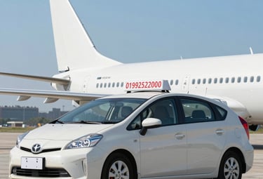 A taxi driver helping a passenger with bags beside a car at night.