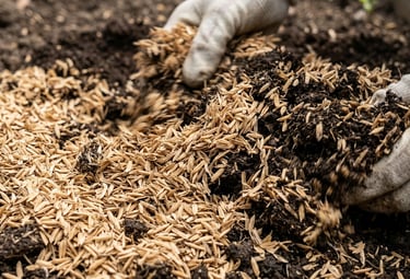raw rice husk for composting and bedding