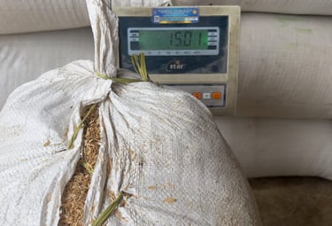 raw rice husk packaging requirement for buyers
