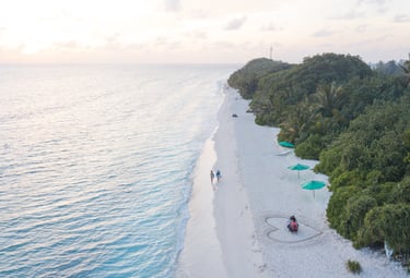 Aerial view of a tropical white sand beach with turquoise water, palm trees, and green beach umbrellas.