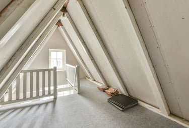 Loft space that might have mouse problem