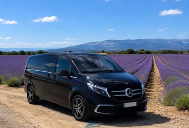 Private van transportation in Valensole lavender fields, Provence shore excursion from Marseille