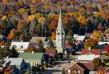 A charming map of Epping highlighting local shops and parks near Pear Tree Lane.