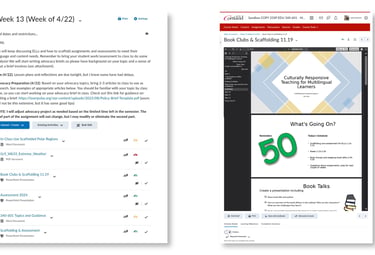 Brightspace module featuring scaffolding resources, learner support, and assessments.