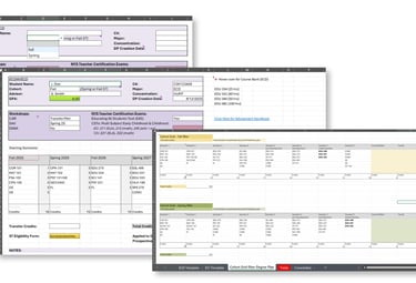 Dropdown-driven degree plan automatically populating student coursework from cohort data.