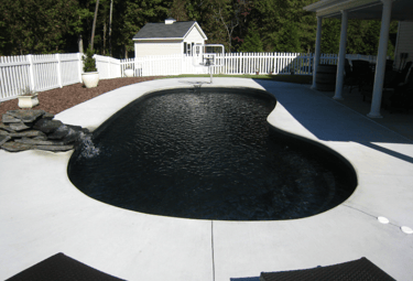 Freeform pool with deep black water and dark interior finish, paired with light concrete coping.
