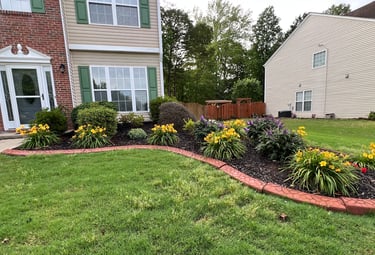 Flower bed with yellow daylilies and purple dwarf butterfly bushes in bloom.