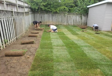 Landscaping and Planting by TN Professional Services