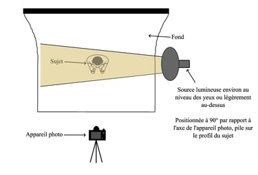 a camera lens lensing a camera and a camera