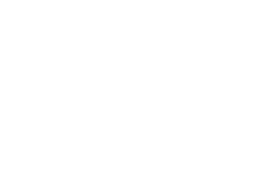 Mirror Ink logo