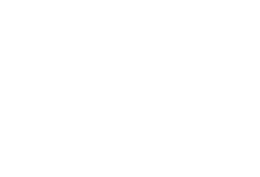 a professional coach coach in a professional coaching program