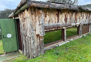 Birdwatching Hide