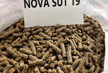 Novayem süt yemi 