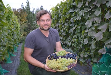 Andrius Diliautas