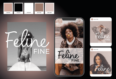 Conceptual visual identity for Feline Fine clothing brand, featuring packaging and promotional mater