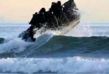AMPHIBIOUS RAID SCHOOL - CORONADO, CA