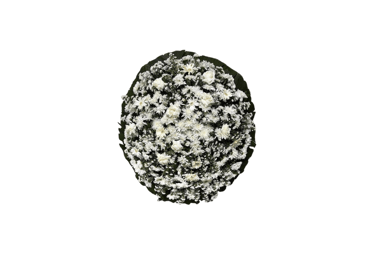 Imagem mostra coroa de flores da Velar em São Paulo