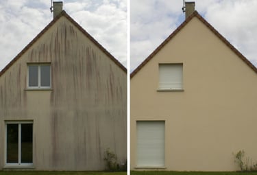 Nettoyage et démoussage de façade avant et après