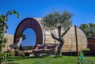 Biophilic outdoor wellness space at a luxury hotel showing nature-integrated design
