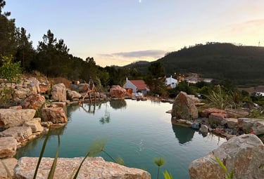 Limestone natural pool with plant filter, diving stone, infinity edge & wood railing | Lisbon, PT