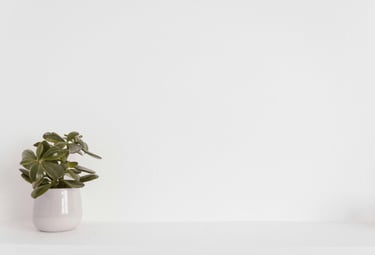 Soluciones al problema de las paredes húmedas