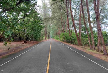 khao lampi hat thai mueang national park road