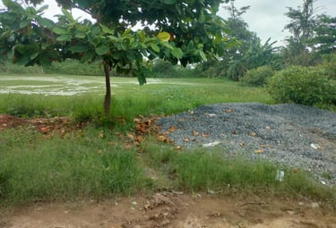 Gadhiya Talab