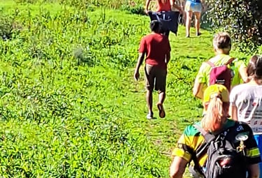 people climbing a grassy trail