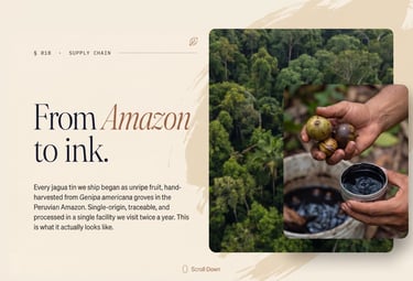 Aerial view of the Peruvian Amazon rainforest where jagua grows