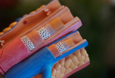 Breaking Boundaries: Unraveling the Path to Reverse Coronary Artery Disease