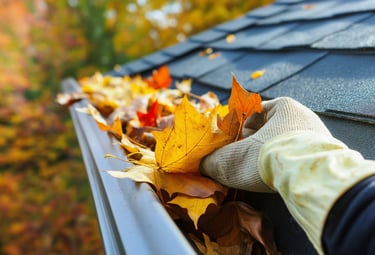 Gutter Cleaning