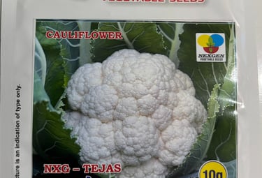 Nexgen vegetable seeds packet for NXG-Tejas cauliflower variety containing 10g of seeds for gardening.
