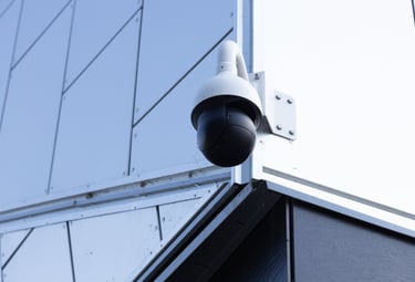 Intrusion detection device
