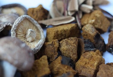 benefits of functional fungi