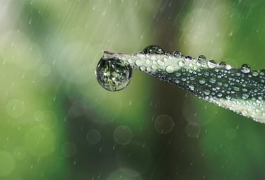 Yu Shui - Rain Water
