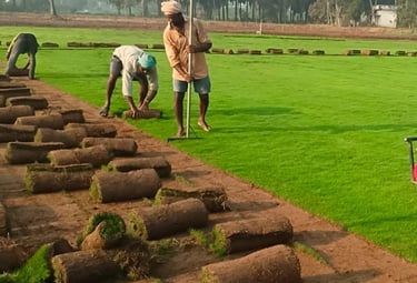 landscaping services in Rajahmundry