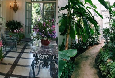 landscaping services in Visakhapatnam