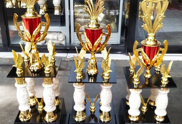 a group of trophies trophies with trophies on display
