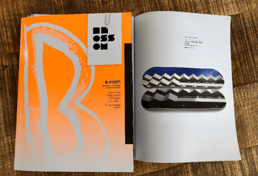 Article Blossom Magazine