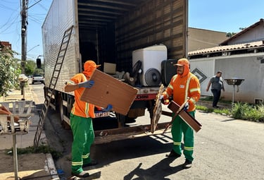 Serviço de Cata-Treco