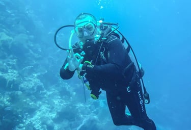 Advanced diver session Lovina Reef #AdvancedDive #LovinaDive #SunriseDiveBali